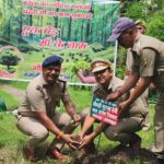 हरेला पर सीएम धामी ने रोपा रुद्राक्ष का पौधा