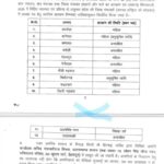 श्रीनगर: हमलावर गुलदार पिंजरे में हुआ क़ैद