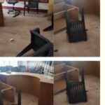 तोताघाटी में पिकअप वैन खाई में गिरी, 3 युवकों की मौत