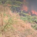 लैंसडौन: गुलदार ने बच्ची को बनाया निवाला