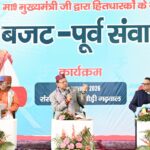 पिकअप वाहन खाई में गिरा , 5 घायल