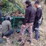 बलमाणा में गुलदार पिंजरे में कैद, ग्रामीणों ने ली राहत की सांस