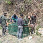 चौबट्टाखाल क्षेत्र के नरभक्षी तेंदुए को नष्ट करने के आदेश