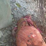 दुःखद: पहले दिन ही केदारधाम यात्रा में गुजरात के श्रद्धालु की मौत